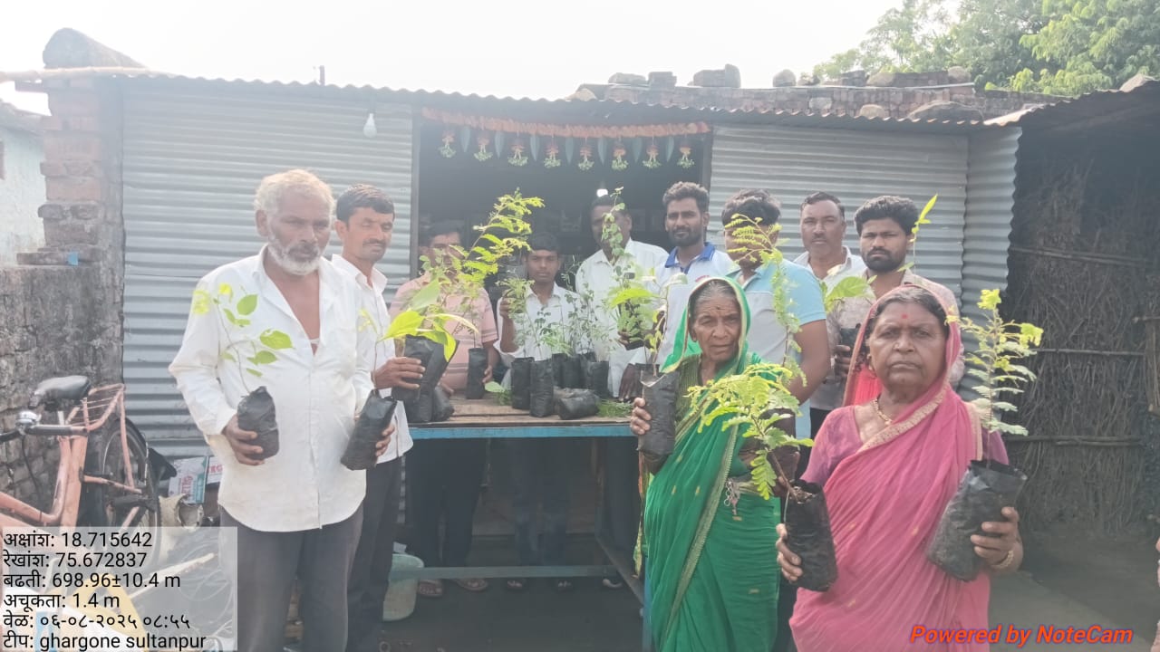 Tree Plantation