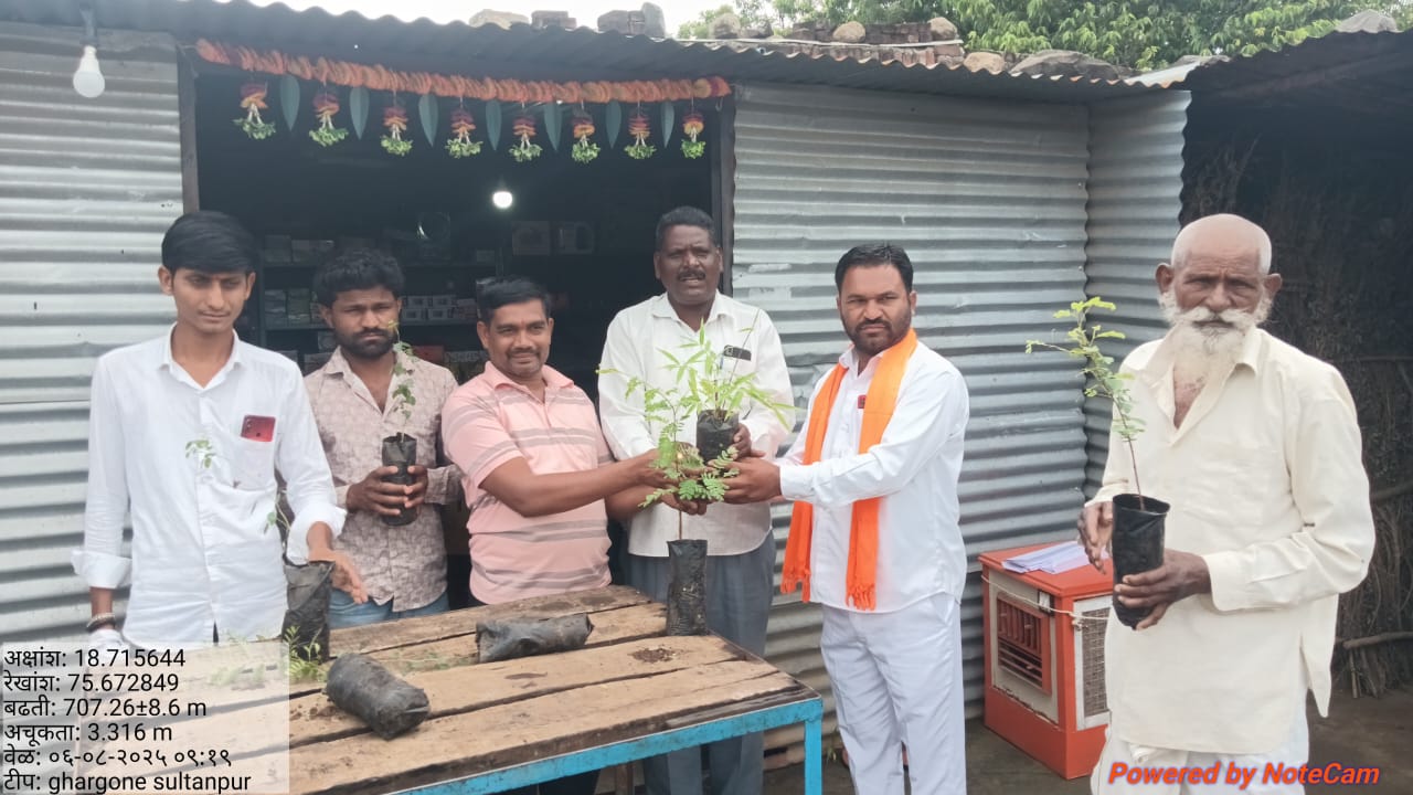 Tree Plantation