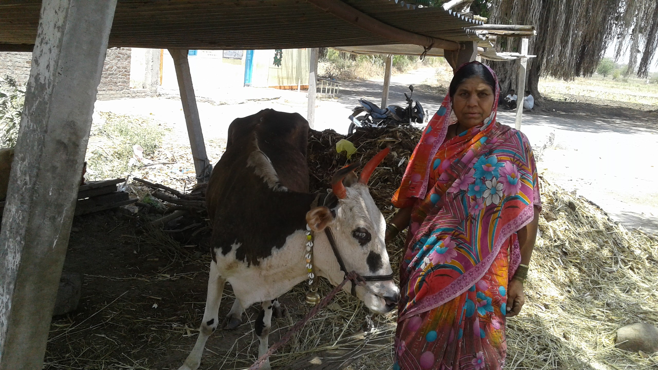 Self Help Groups